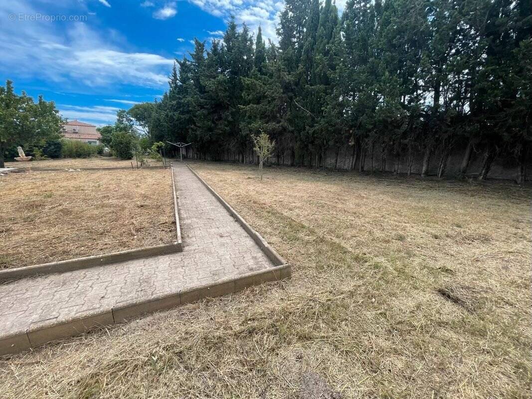 Terrain à FRONTIGNAN