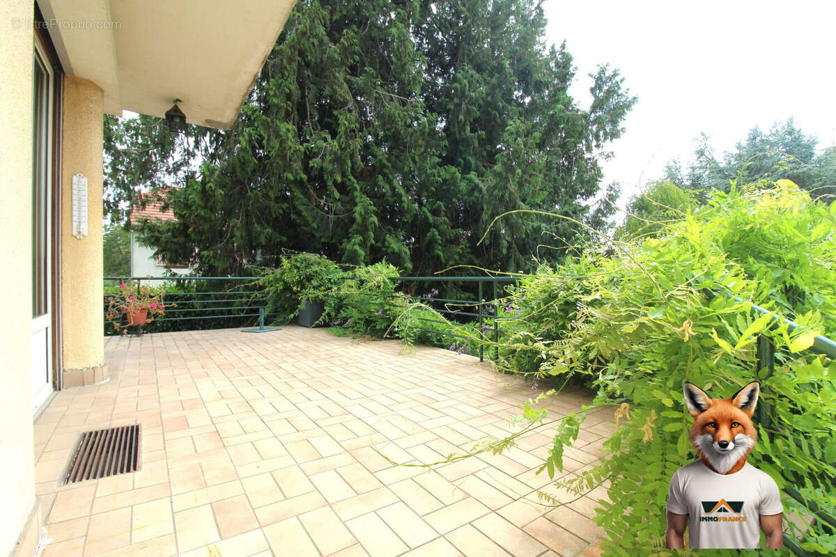 Maison à DELLE