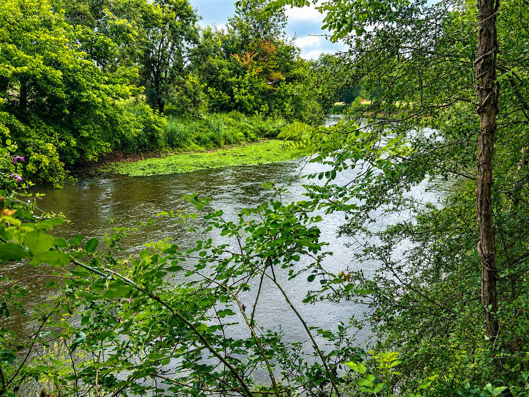 Terrain à SELLES-SUR-CHER