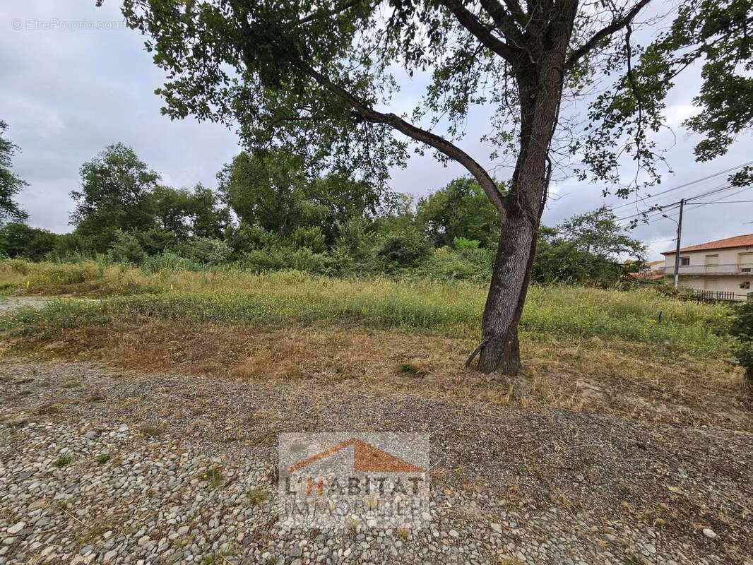 Terrain à SAINT-LYS