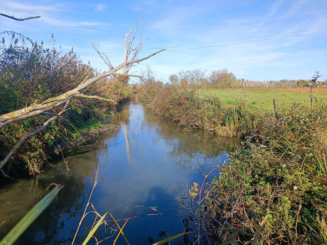 Maison à JUSSY-LE-CHAUDRIER