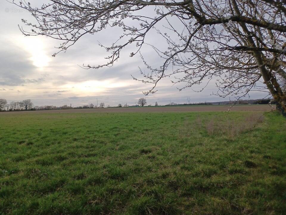 Terrain à SEMBLANCAY