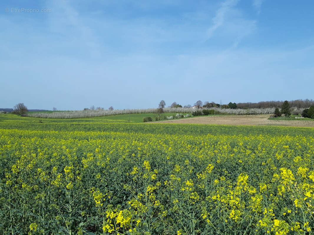 Maison à SAINT-EUTROPE-DE-BORN