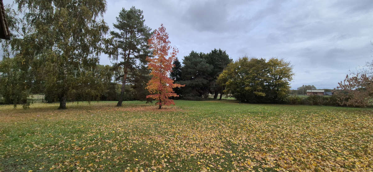 Maison à LAILLY-EN-VAL