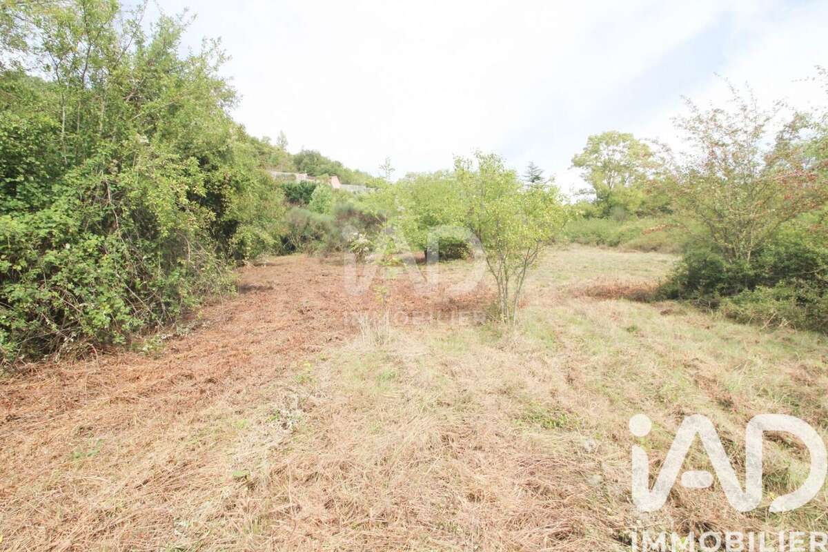 Photo 9 - Terrain à SAINT-AFFRIQUE