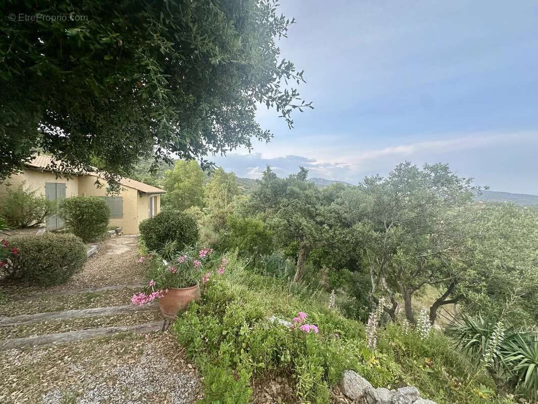 Maison à PLAN-DE-LA-TOUR