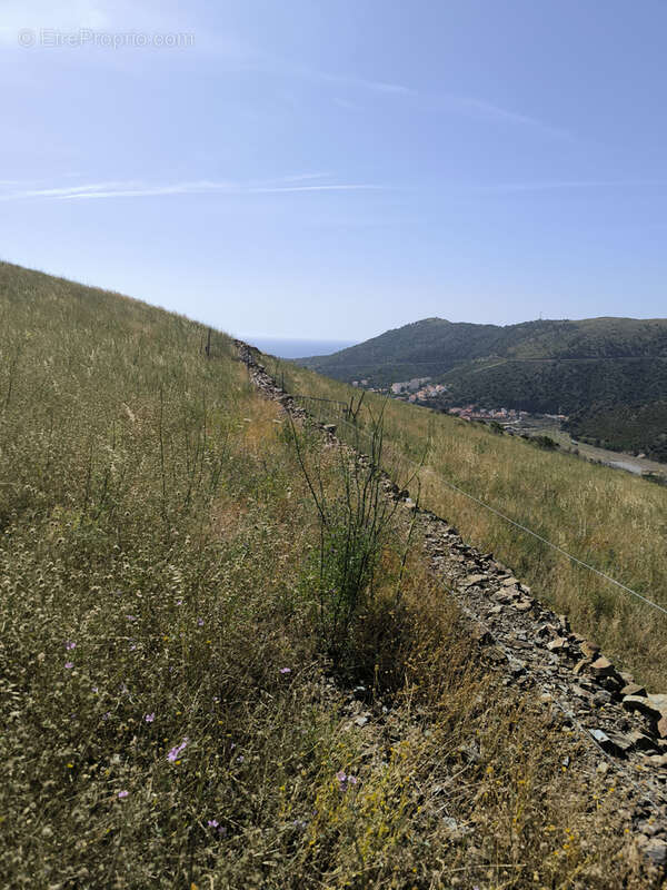 Terrain à CERBERE