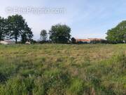 Terrain à SAINTE-PAZANNE