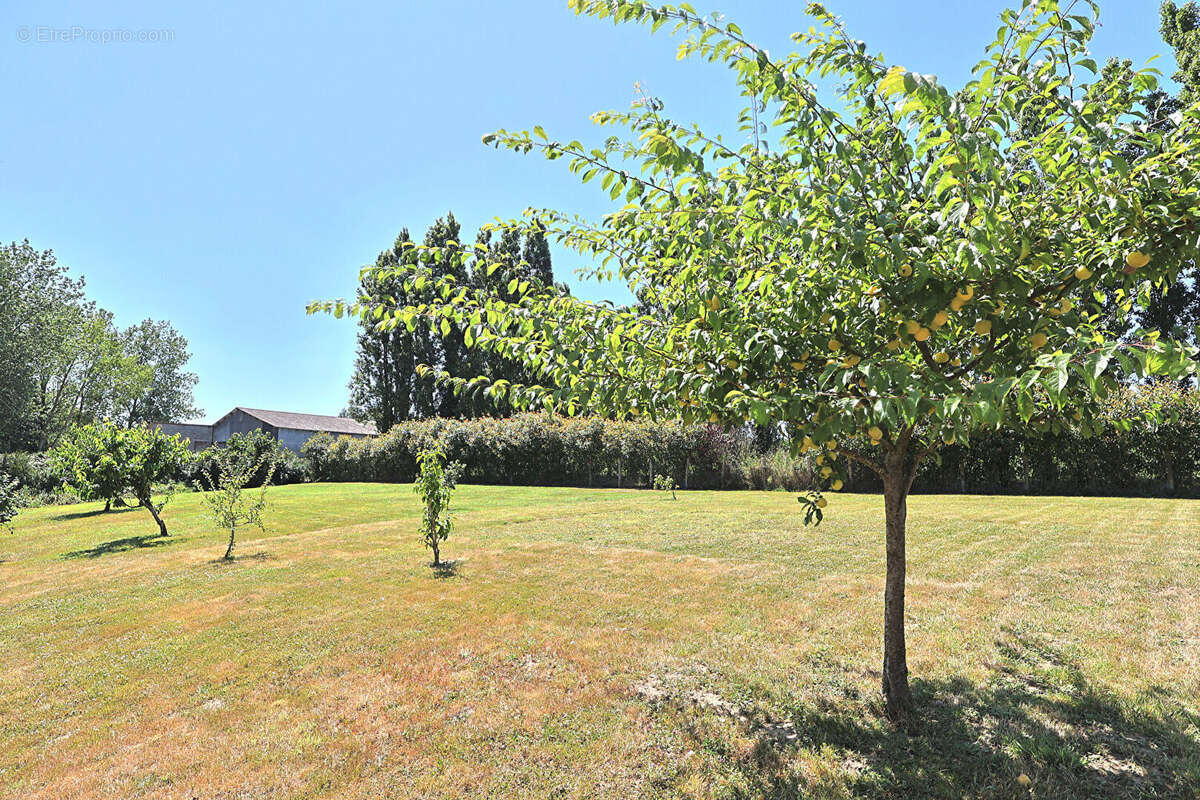 Maison à DOL-DE-BRETAGNE