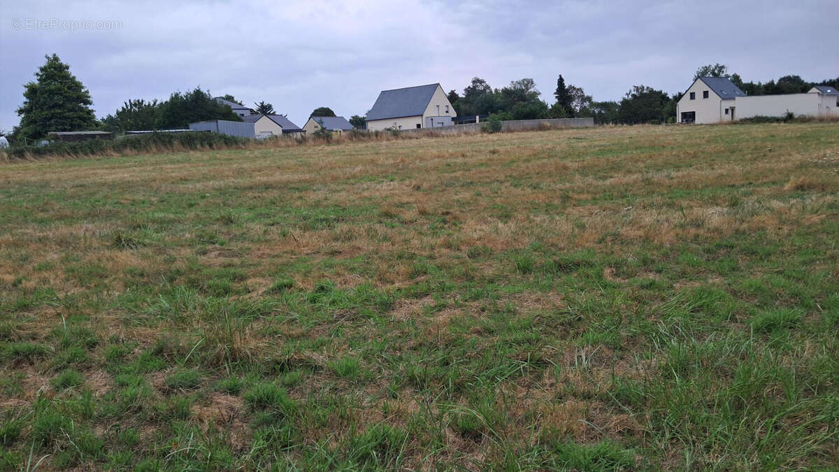 Terrain à DONGES