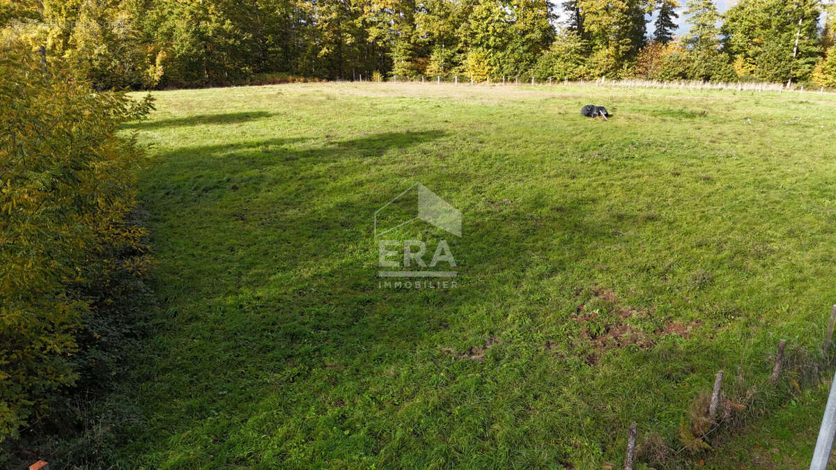 Terrain à SAINT-HILAIRE-SUR-ERRE