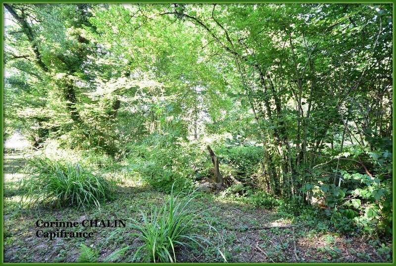 Maison à vendre 3 pièces 64.45m2 BERT (03) - photo 11