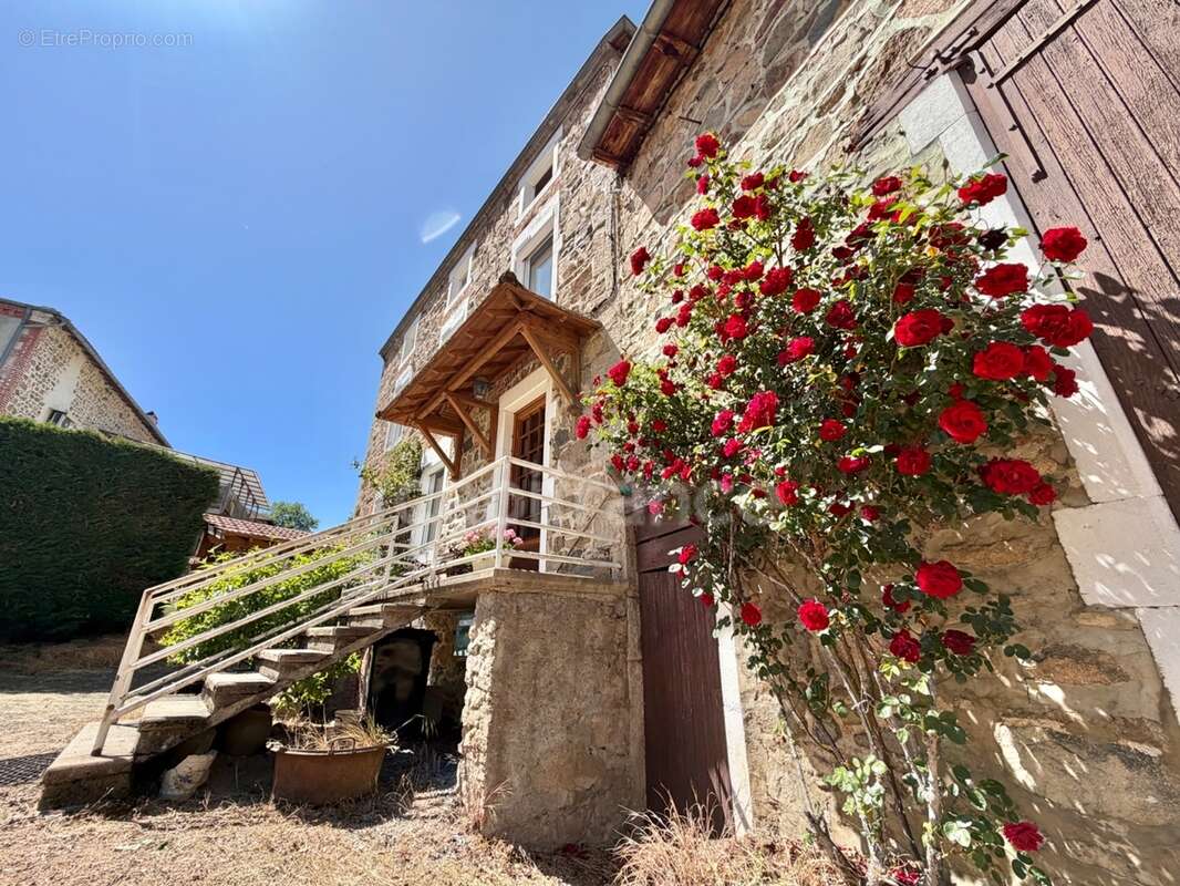 Maison de bourg de 100 m2, 3 chambres, terrain attenant de 371 m2 + 2450 m2 indépendant, 200 m2 de dépendances, caves, fibre opt - photo 24