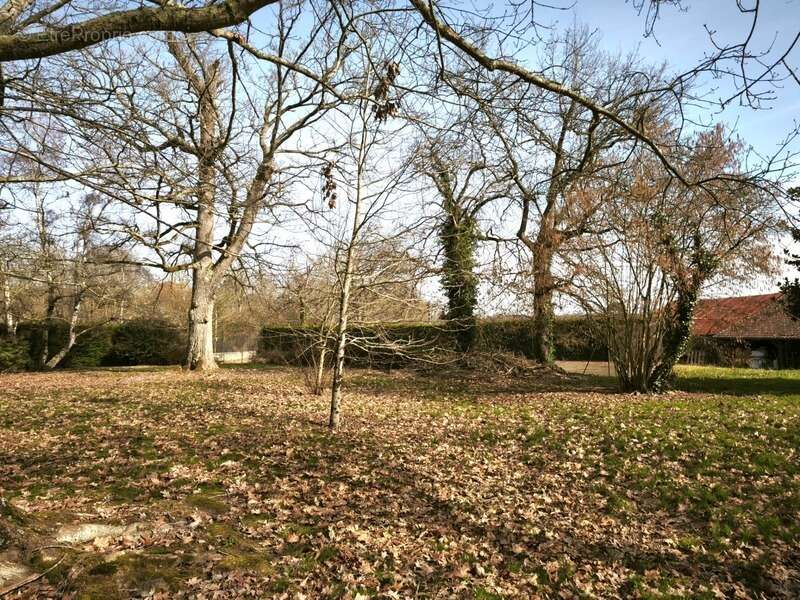 Maison à SAINT-GEIN