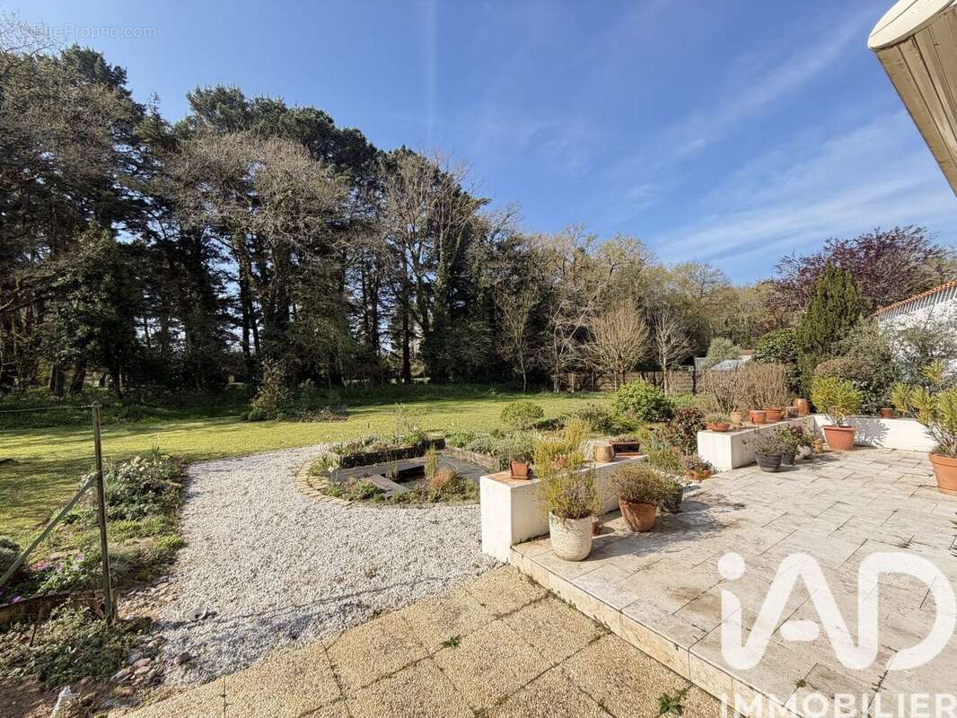 Photo 4 - Maison à CHALLANS