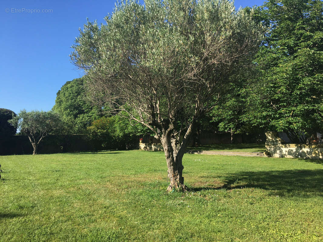 Maison à LUNEL-VIEL