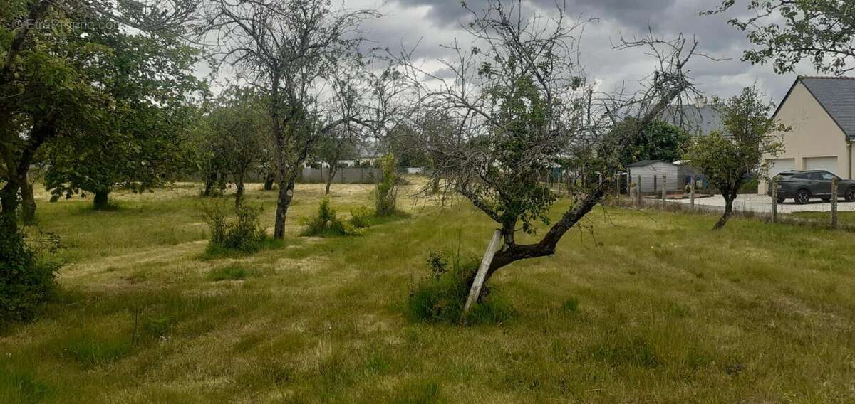 Terrain Bauge En Anjou - photo 8