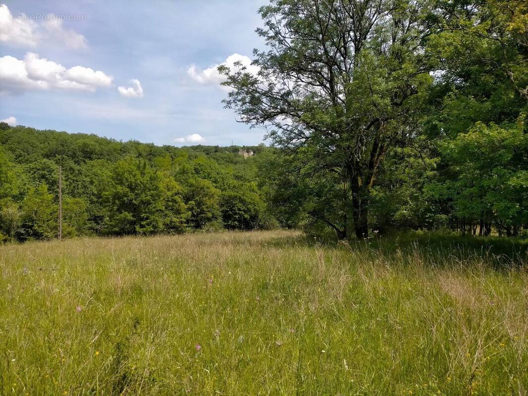 Photo 1 - Terrain à LUZECH