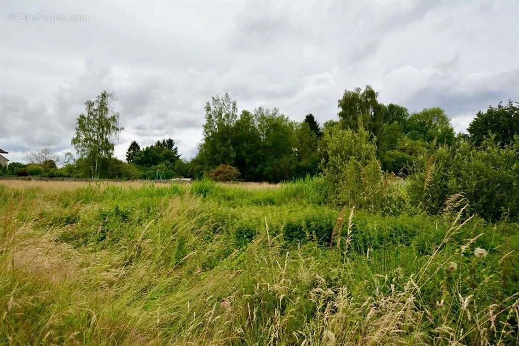 Terrain à SONCHAMP