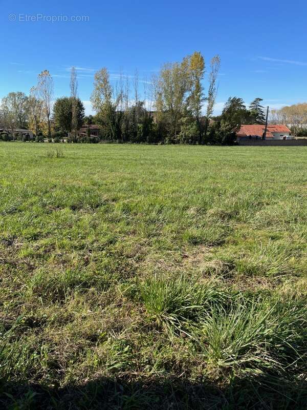 Terrain à ALBI