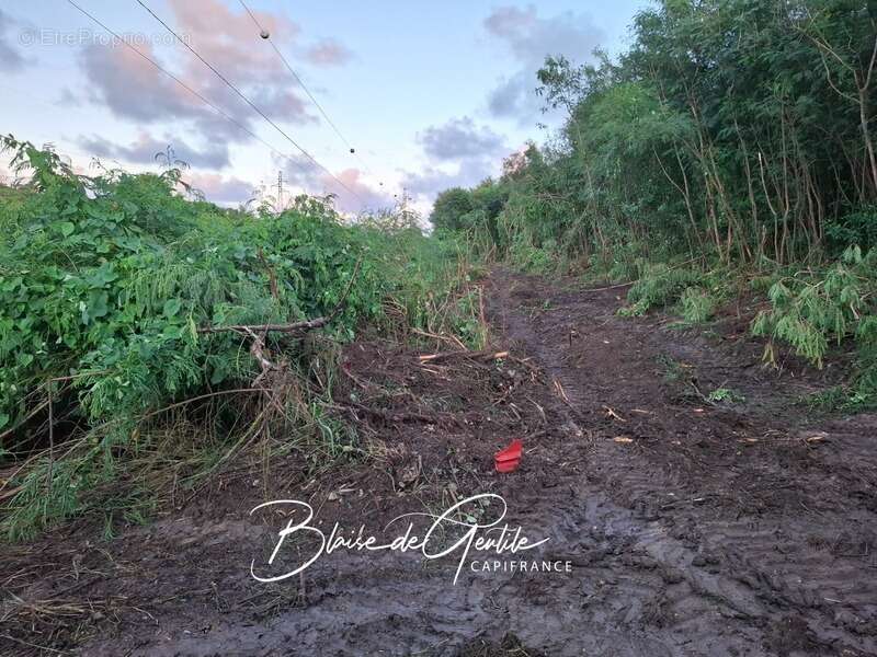 Terrain à SAINT-FRANCOIS