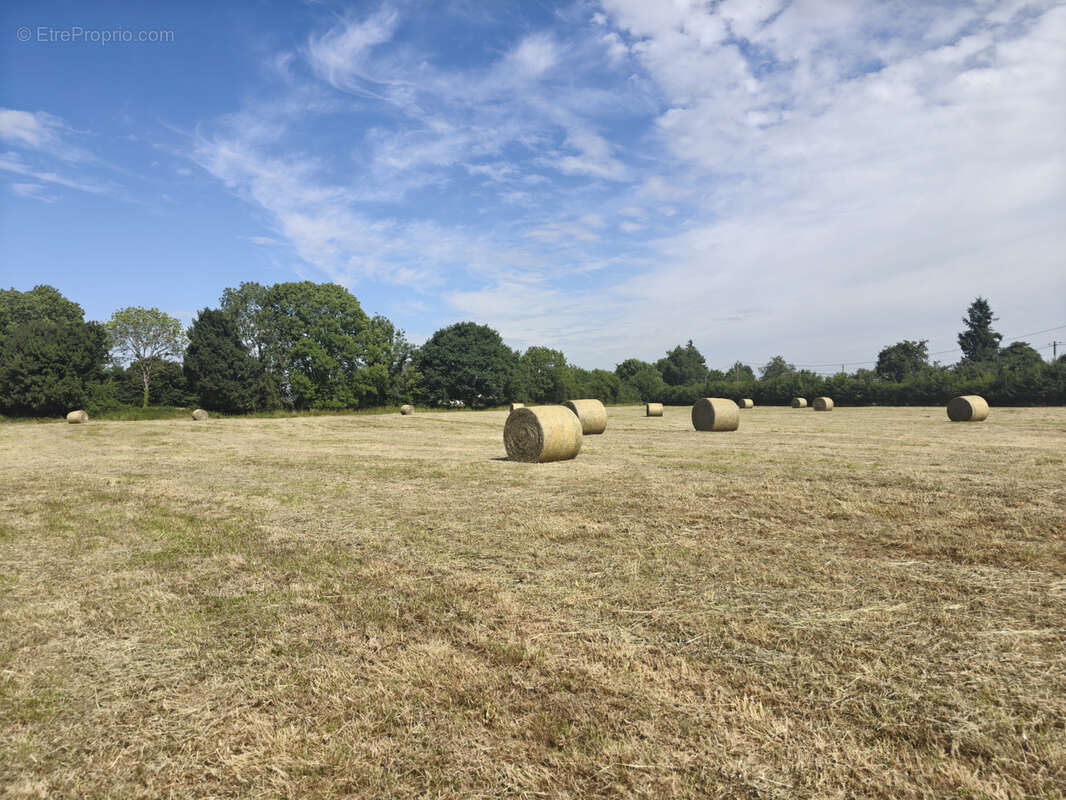 Maison à VIMOUTIERS