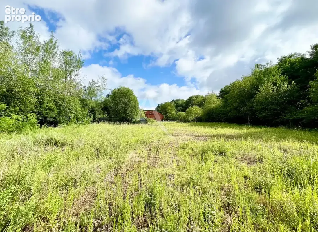 Investissement ensemble immobilier de 1,16 hectare avec 52 ares constructibles et hall d'activités de 500 m² - photo 1