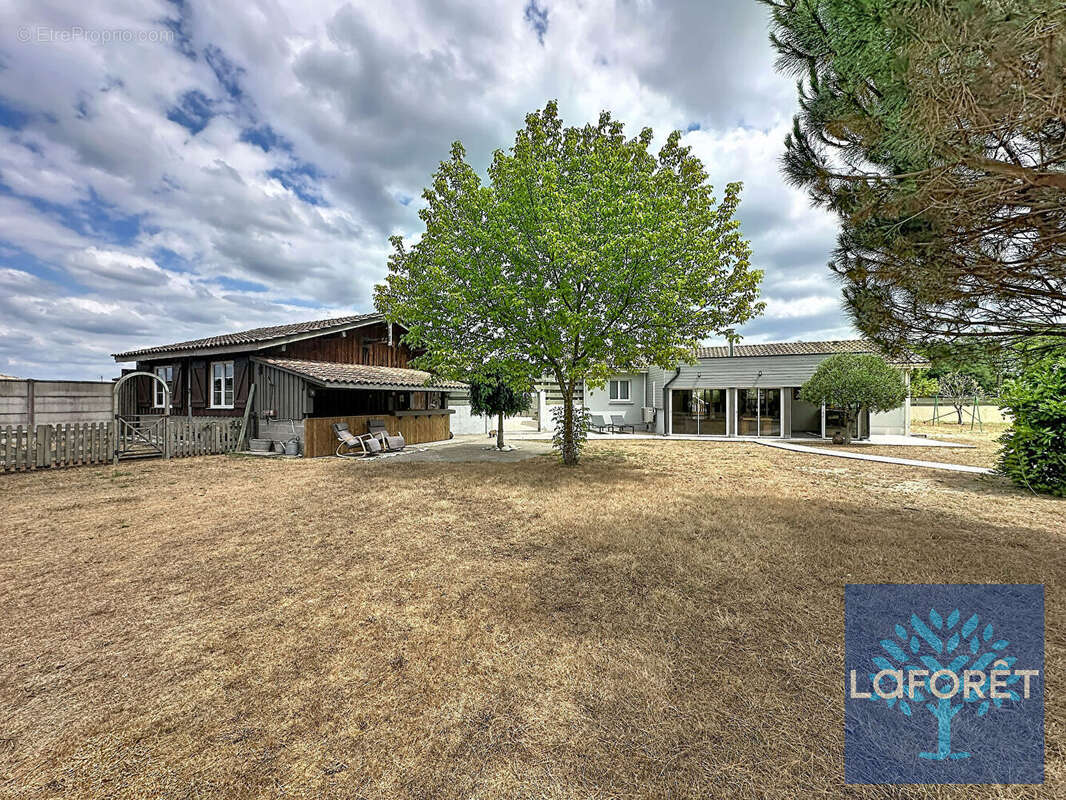 Maison de 133 m² sur 3 000 m² de terrain à  Rion-des-Landes - photo 2