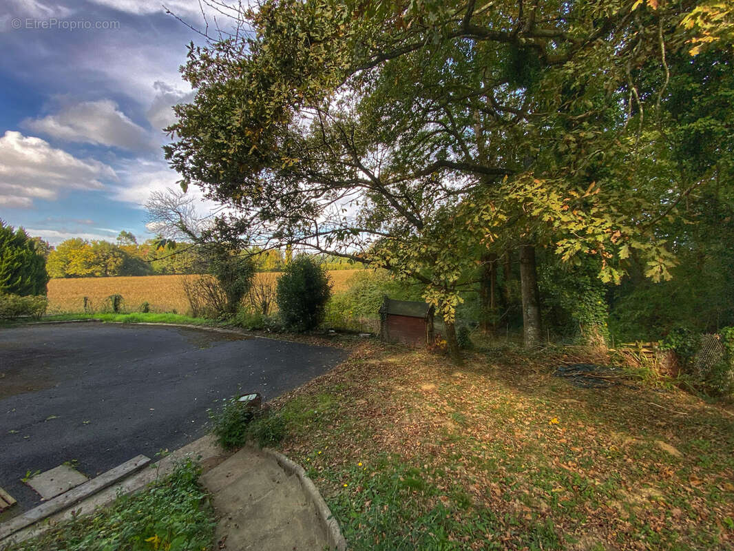Maison à SAINT-PALAIS