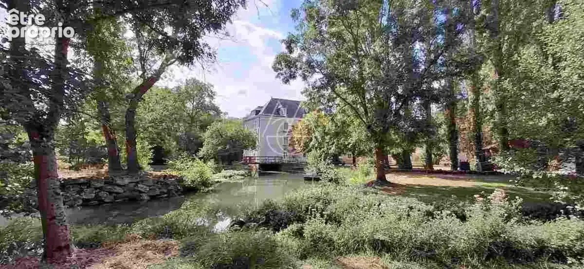 Entre Tours et Amboise, découvrez un moulin du XVIe siècle au cadre exceptionnel sur 3.4ha - photo 9