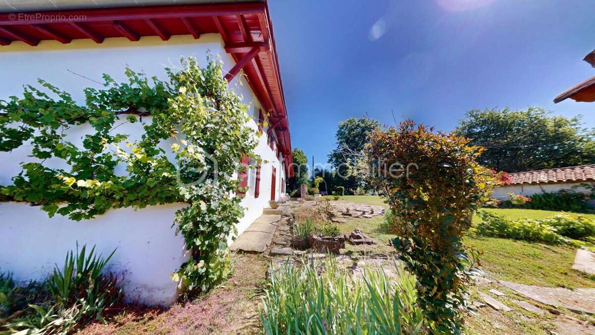 Maison à URCUIT