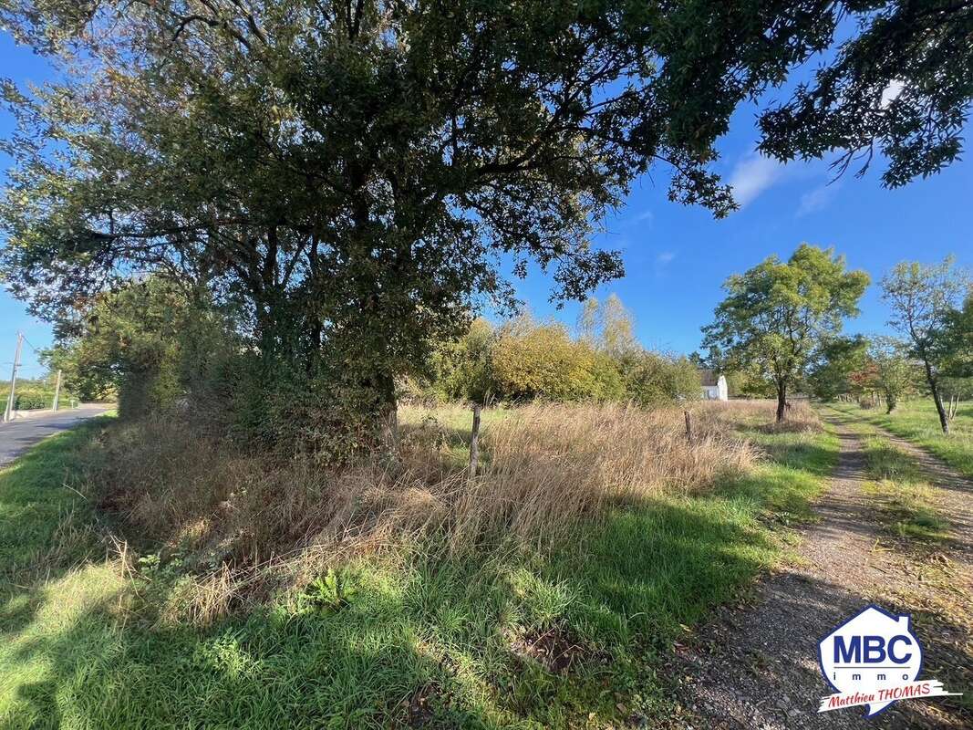 Terrain à ANCENIS