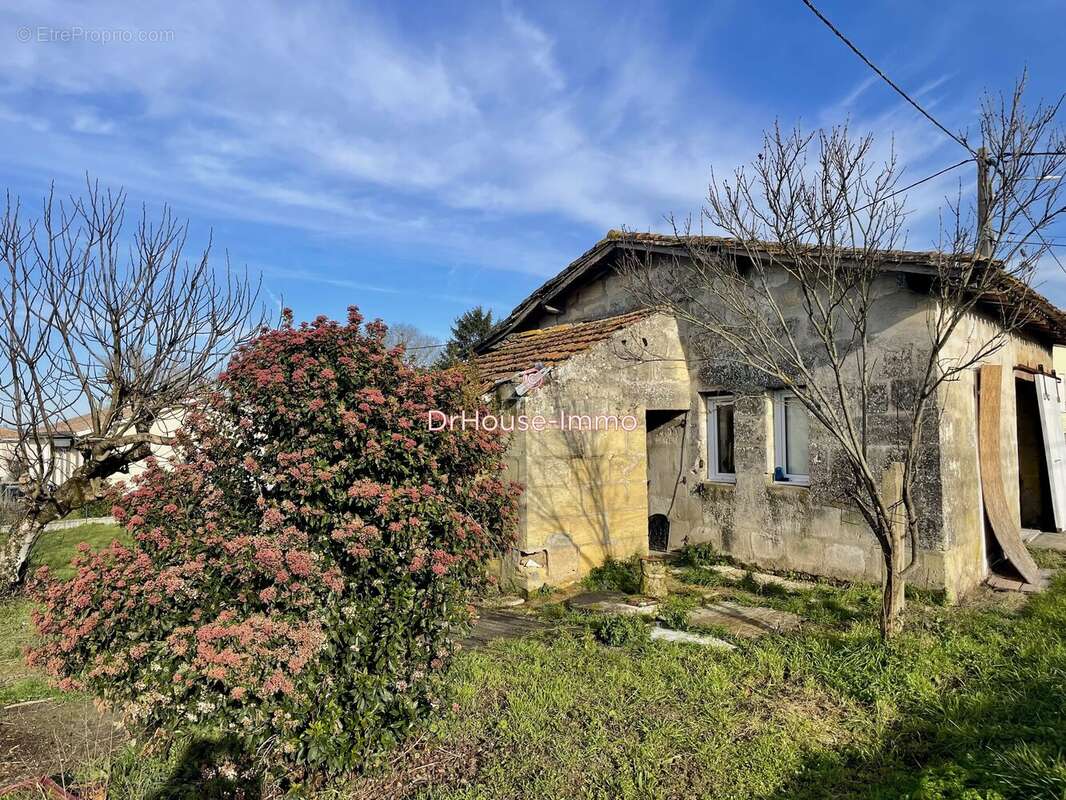 Terrain à SAINT-PEY-DE-CASTETS