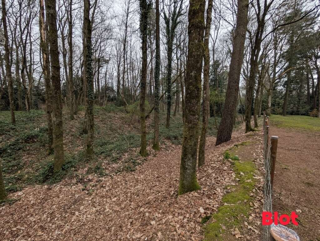 Terrain à PLECHATEL
