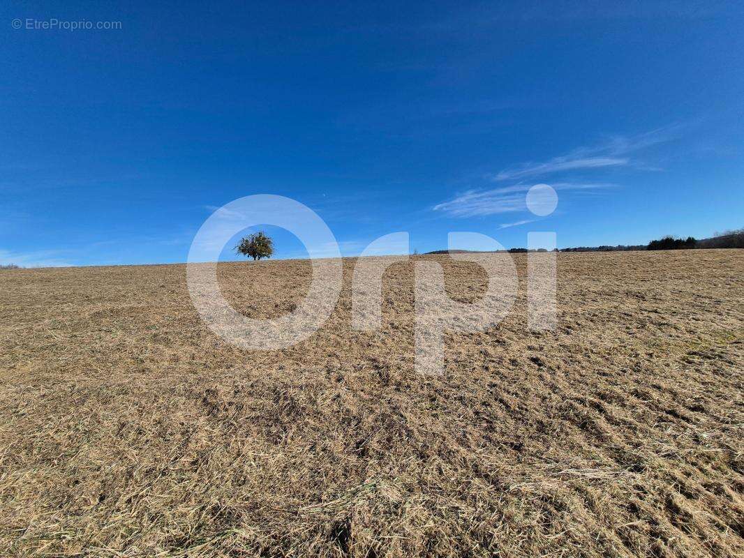 Terrain à PERPEZAC-LE-NOIR