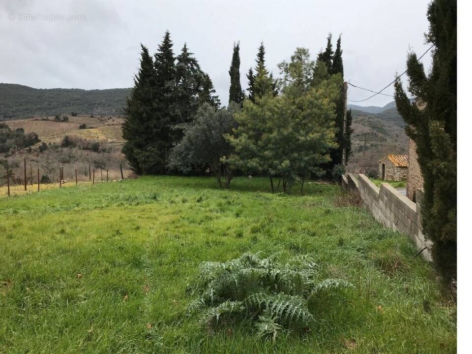 Terrain à QUINTILLAN