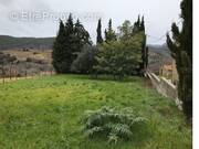 Terrain à QUINTILLAN