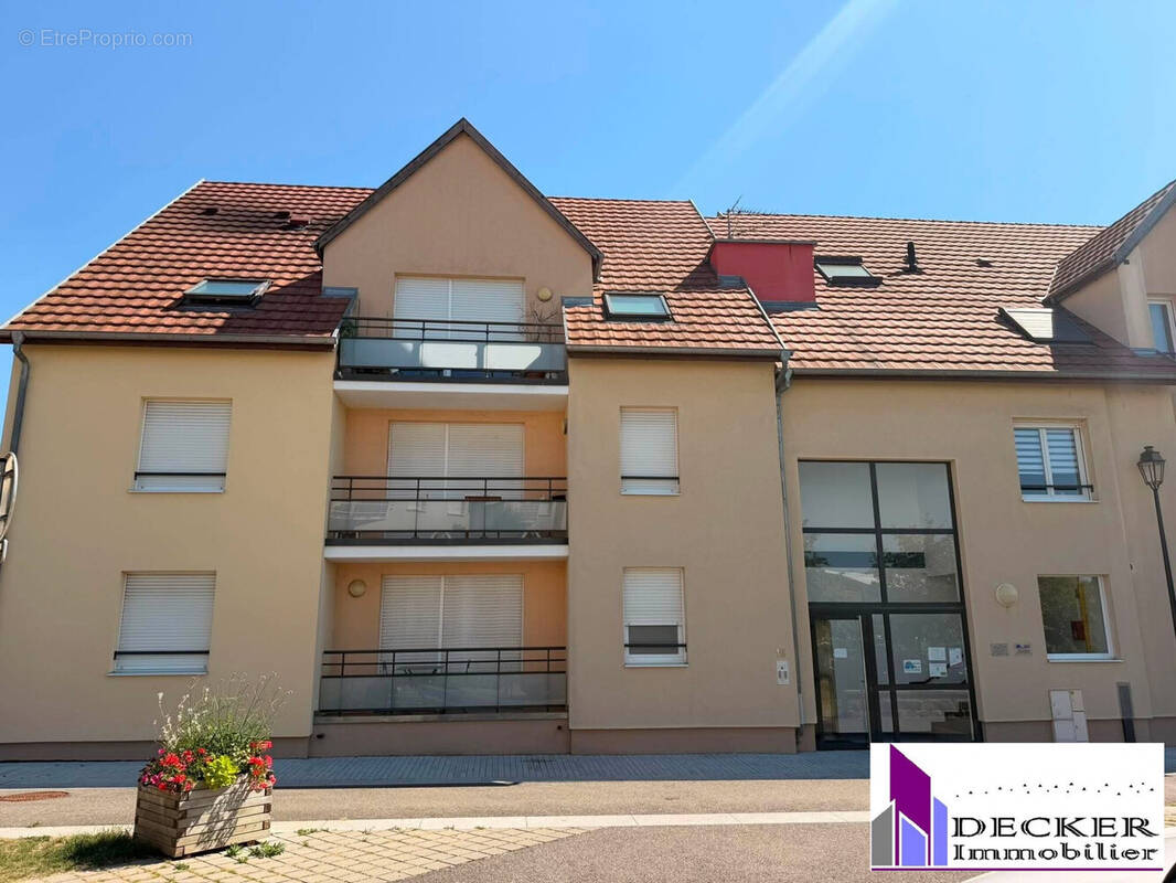 Appartement à INGWILLER