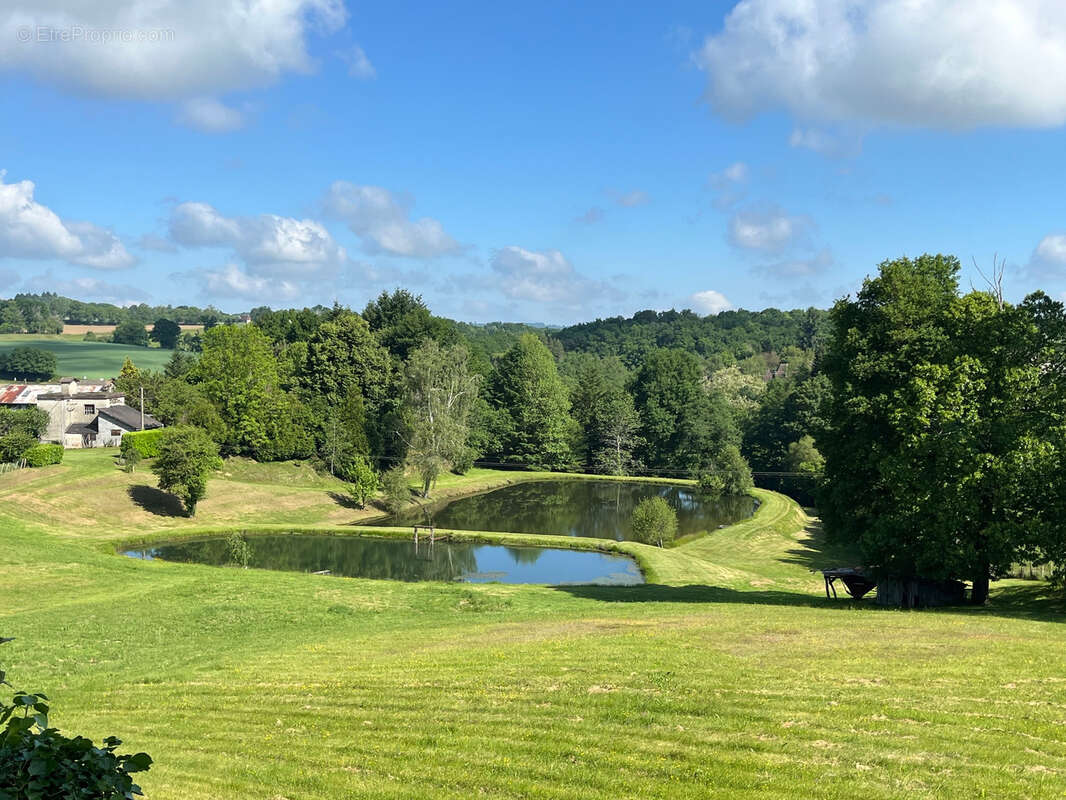 Terrain de 1,8 Hectare avec Deux Étangs près de Coussac-Bonneval (Non Constructible) - photo 2