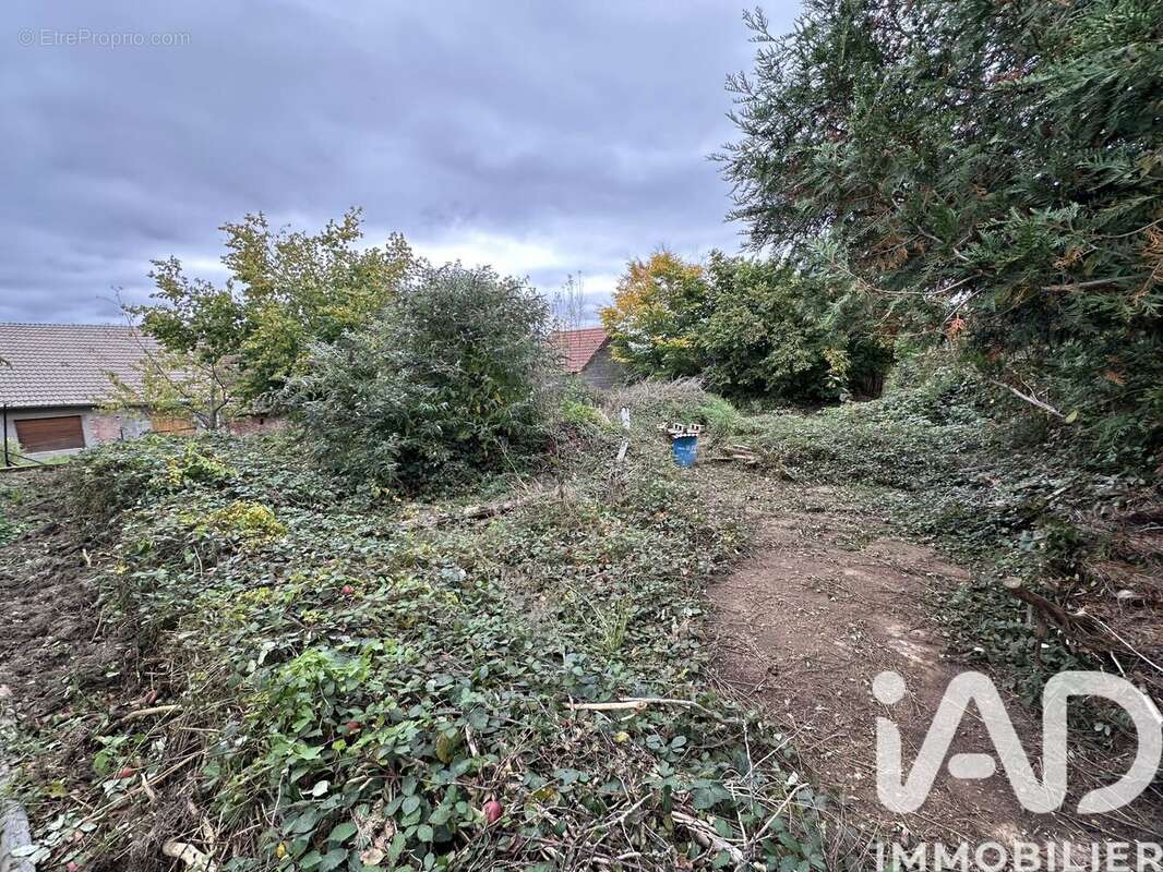 Photo 3 - Terrain à PROVENCHERES-SUR-FAVE