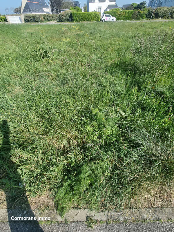 Terrain à GUILVINEC