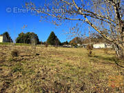 Terrain à CASTELCULIER