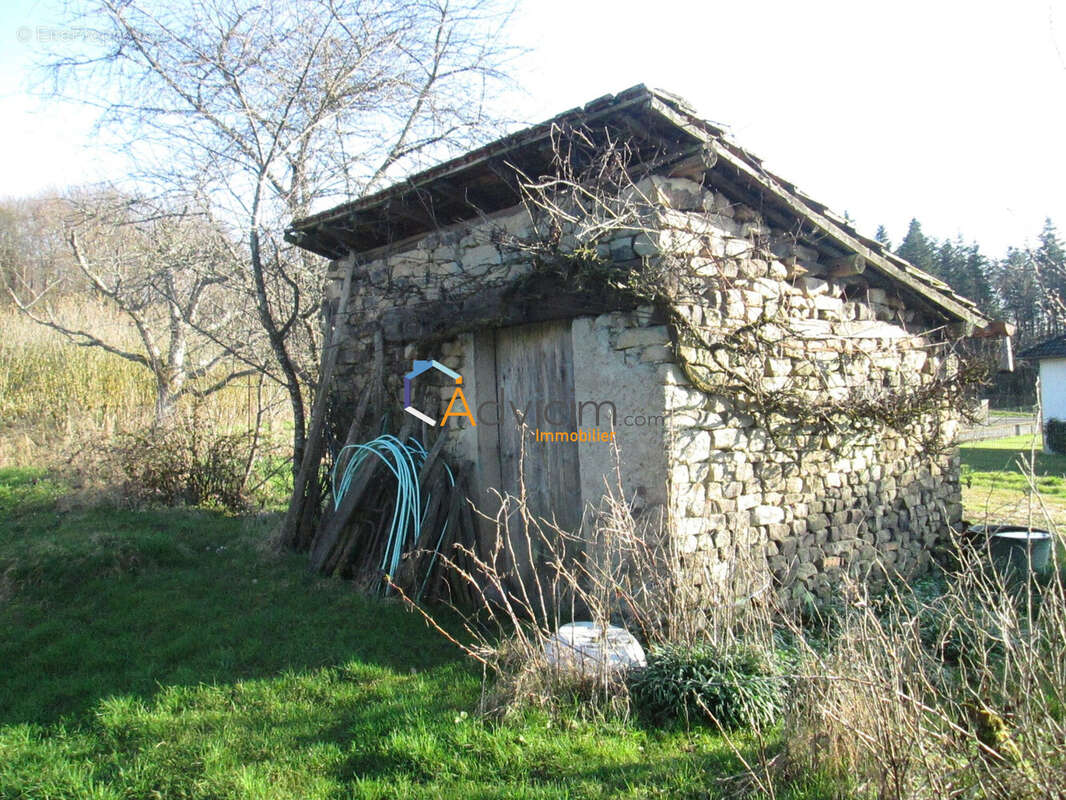 Terrain à AILLEVILLERS-ET-LYAUMONT