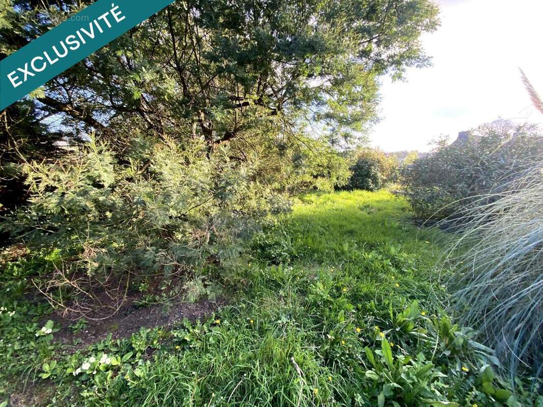 Photo 3 - Maison à QUIMPERLE