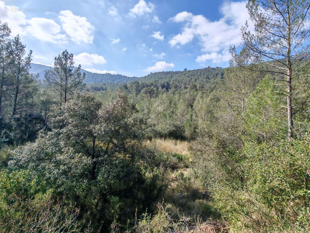 Terrain à SOLLIES-TOUCAS