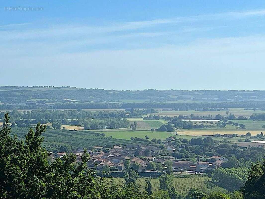 Photo 4 - Maison à AUVILLAR