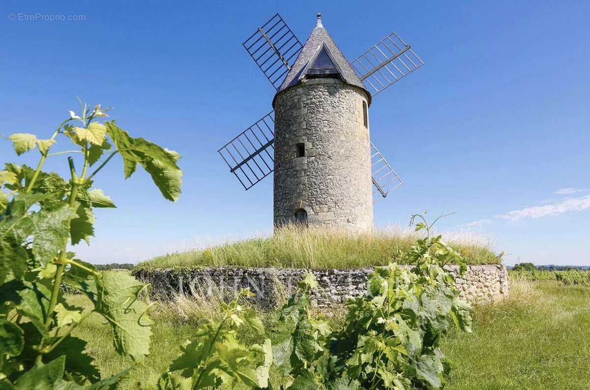Maison à SAINT-EMILION