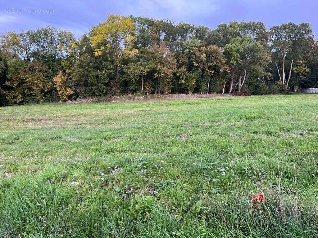 Terrain à COLLANDRES-QUINCARNON