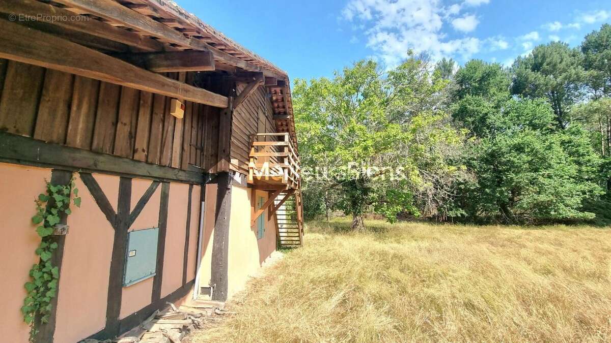 Maison et dépendances sur airial - photo 7