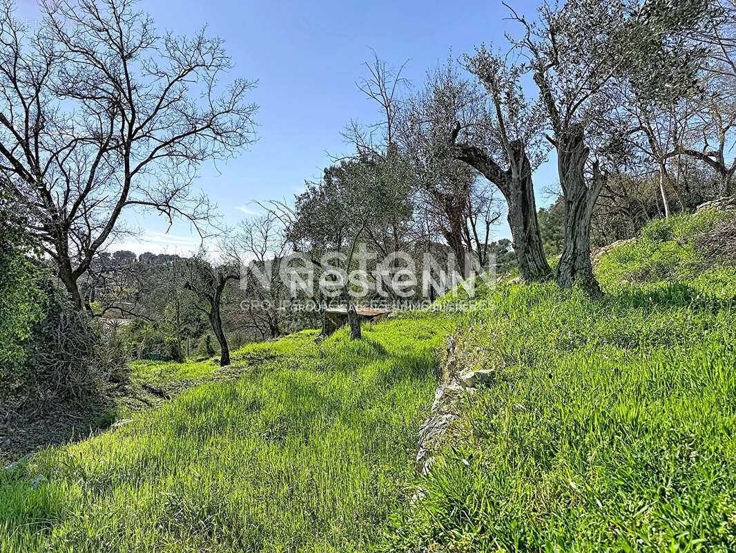 Terrain constructible 1788m2 - exposé plein sud - Roquefort les pins - photo 6